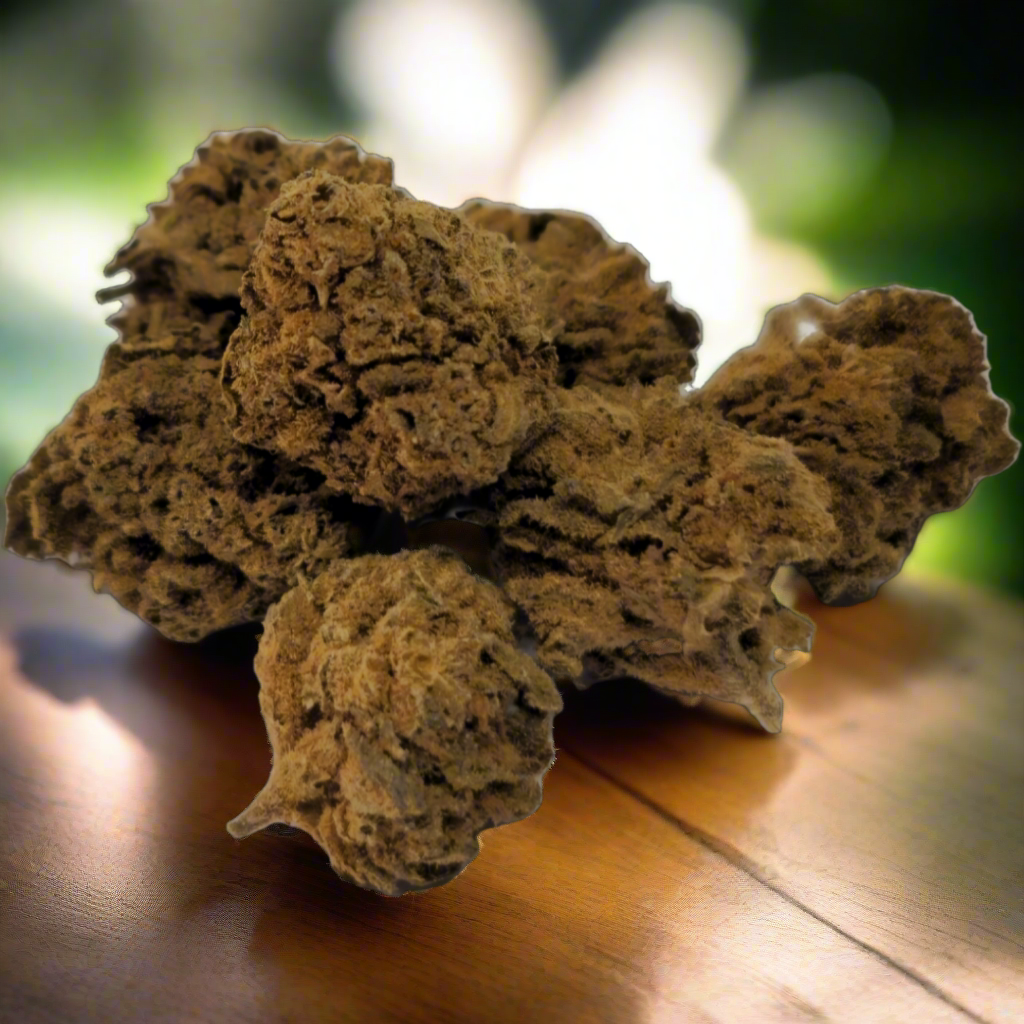 Mojo Haze - SMALL GLASSHOUSE CBD